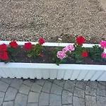 мареа Appartamento Sveti Vlas
